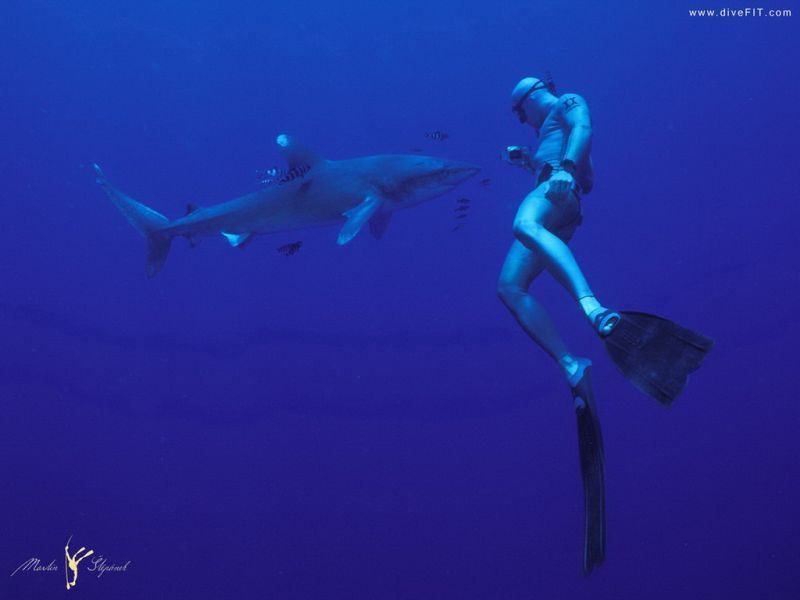 Martin Stepanek freedive