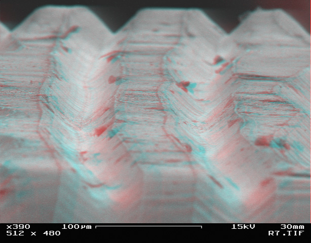 Vinyl pod elektrónovým mikroskopom 3D